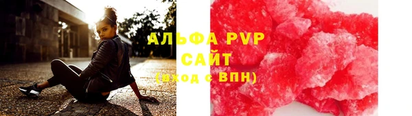 прущие грибы Армянск