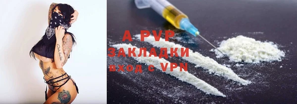 прущие грибы Армянск