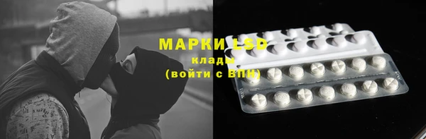 прущие грибы Армянск