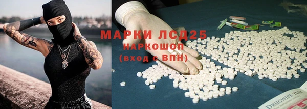 прущие грибы Армянск